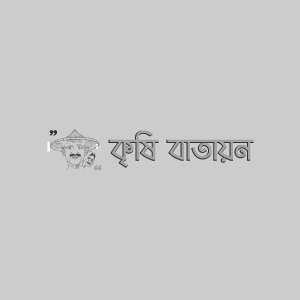 পেপের ভাইরাসজনিত মোজাইক রোগ